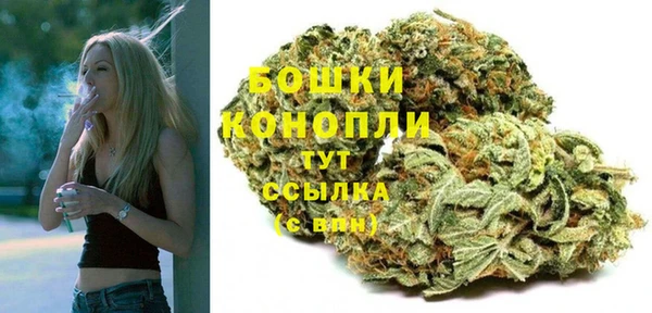 стафф Богданович